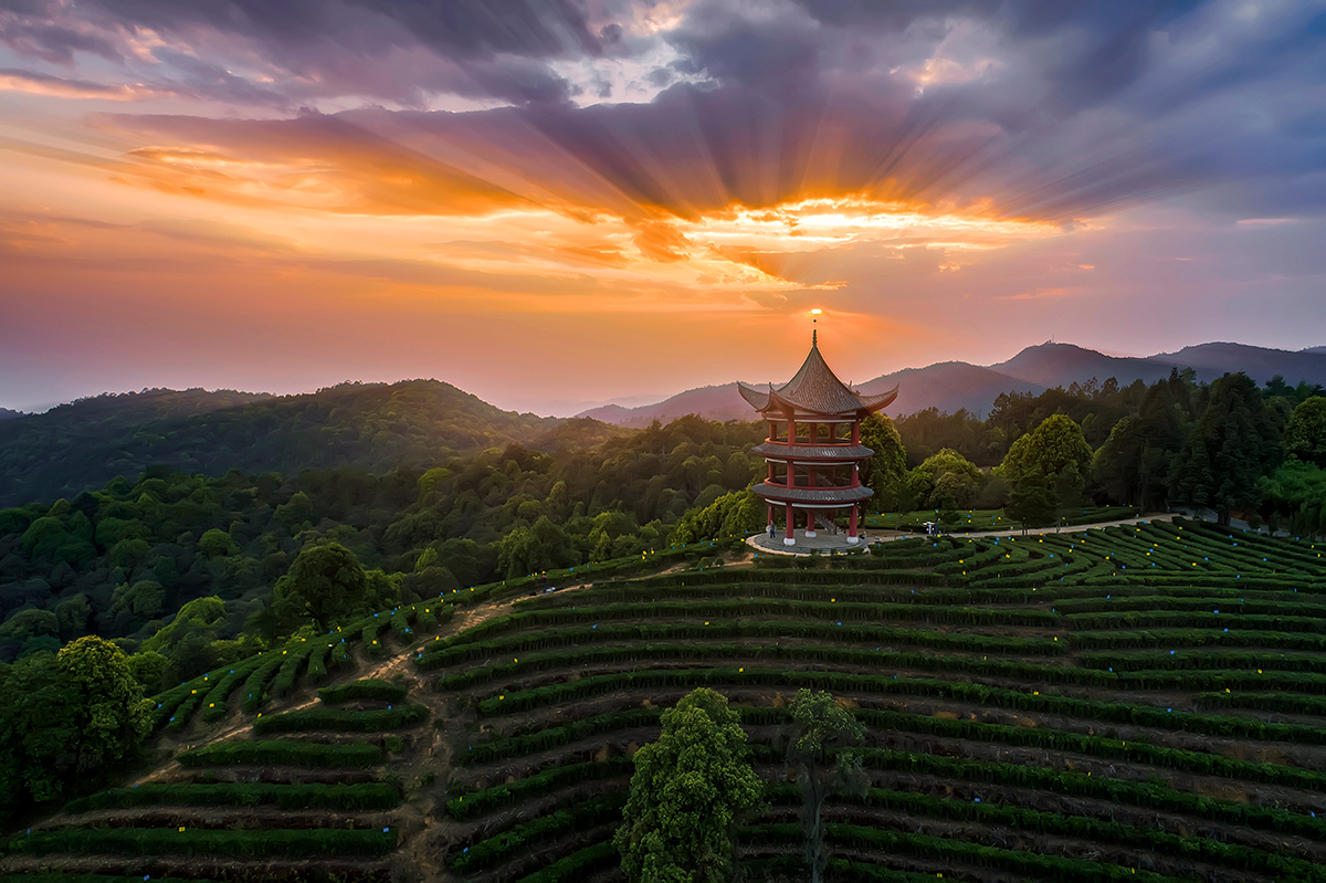 云茶山庄